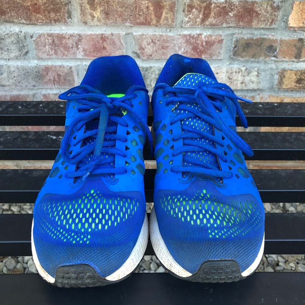 Nike Pegasus 31